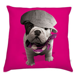 Pink French bulldog pillow by Teo Jasmin